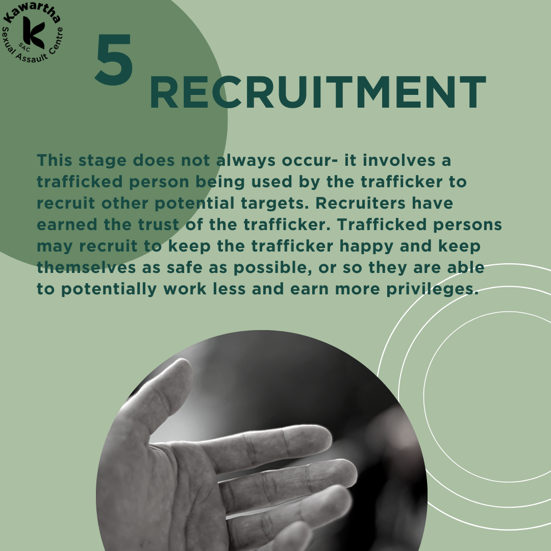 5. Recruitment. This stage does not always occur- it involves a trafficked person being used by the trafficker to recruit other potential targets. Recruiters have earned the trust of the trafficker. Trafficked persons may recruit to keep the trafficker happy and keep themselves as safe as possible, or so they are able to potentially work less and earn more privileges.