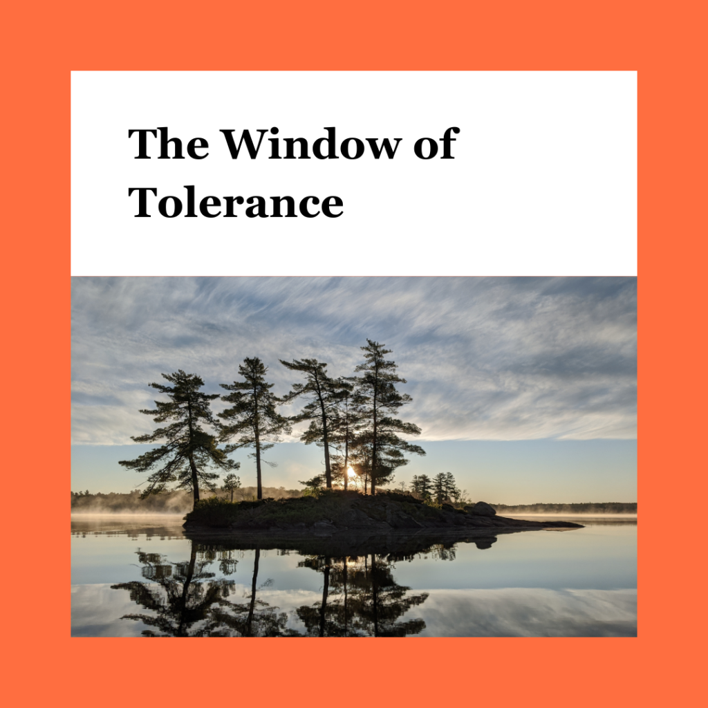 The Window of Tolerance