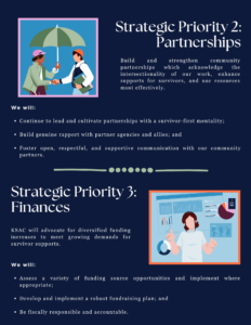 Strategic Plan 2025-2029
