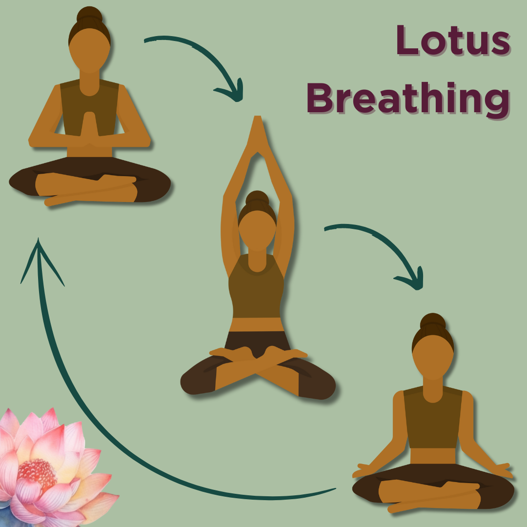 A cartoon woman is pictured doing three different seated yoga poses. The first has her hands with palms together in the centre of her chest, the second has her hands raised above her head (palms together), and the third has her hands resting on her knees with her palms facing upward. A small pink lotus flower is in the bottom left corner, and in the top right corner text reads "Lotus Breathing".