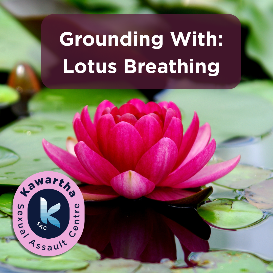 White text reads "Grounding With: Lotus Breathing". Background image is of a pink lotus flower open on the water with lilypads around.