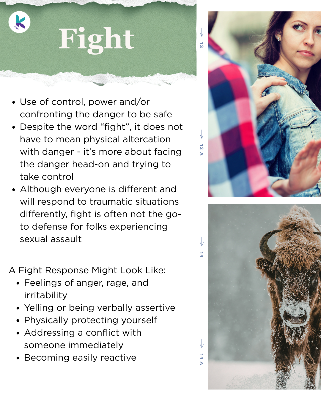Text reads: Use of control, power and/or confronting the danger to be safe. Despite the word “fight”, it does not have to mean physical altercation with danger - it’s more about facing the danger head-on and trying to take control. Although everyone is different and will respond to traumatic situations differently, fight is often not the go-to defense for folks experiencing sexual assault. A Fight Response Might Look Like: Feelings of anger, rage, and irritability, yelling or being verbally assertive, physically protecting yourself, addressing a conflict with someone immediately, becoming easily reactive. On the right side of the page there is a photo of someone's hand on the shoulder of a femme-presenting person who looks annoyed, and below is a photo of a buffalo.