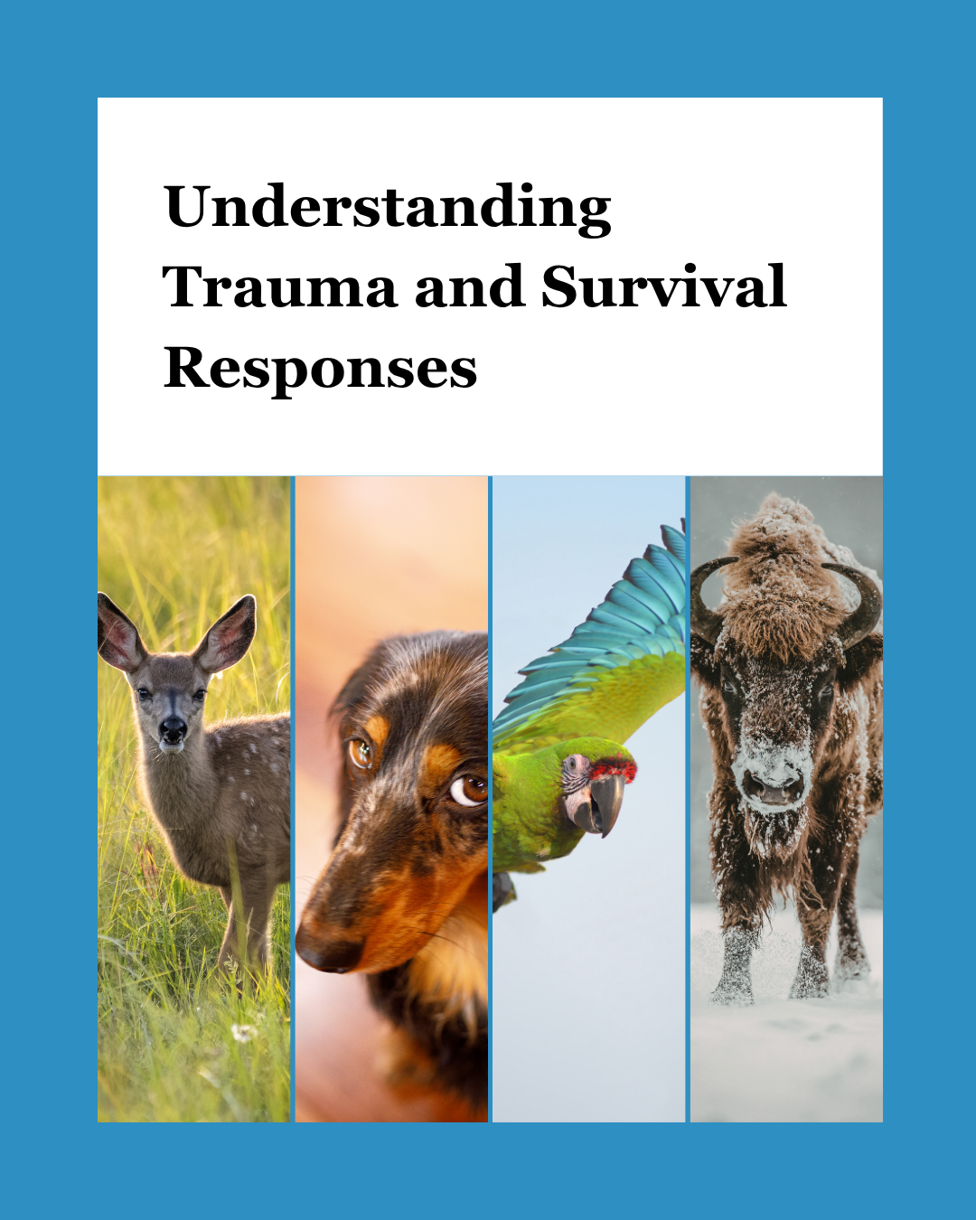Title reads "Understanding Trauma and Survival Responses". Below is four pictures of animals; a deer, a dog, a parrot, and a buffalo.